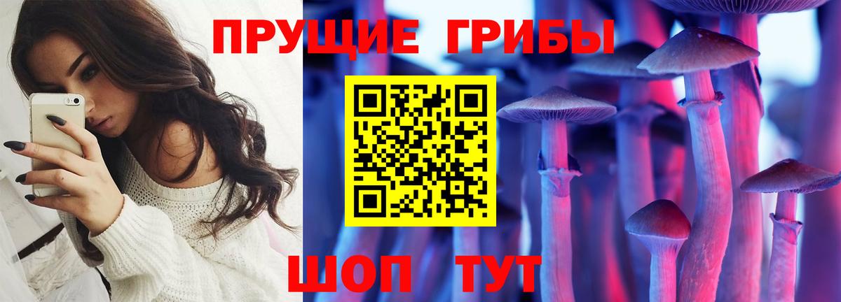 Псилоцибиновые грибы Psilocybine cubensis  Вход с VPN  как найти   Псилоцибиновые грибы Magic Shrooms  Белая Калитва 